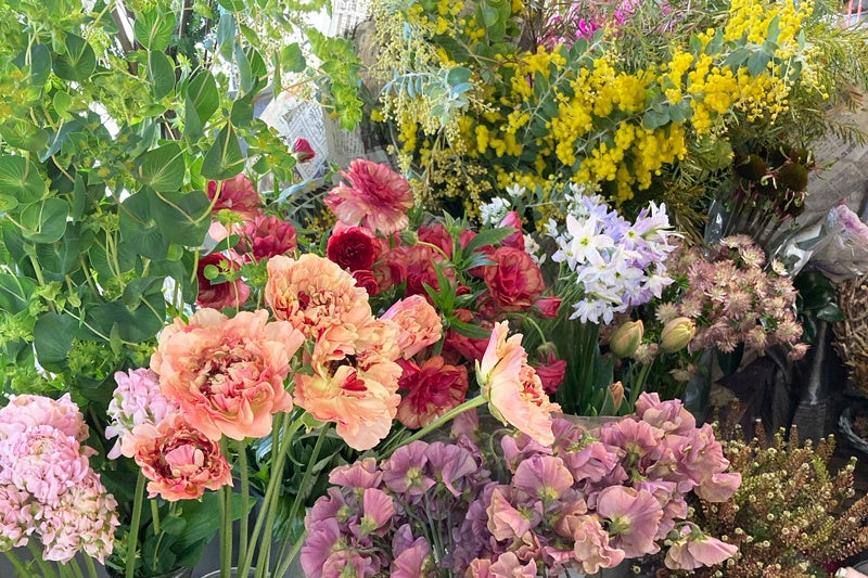 街角花屋フロラリの春の花棚