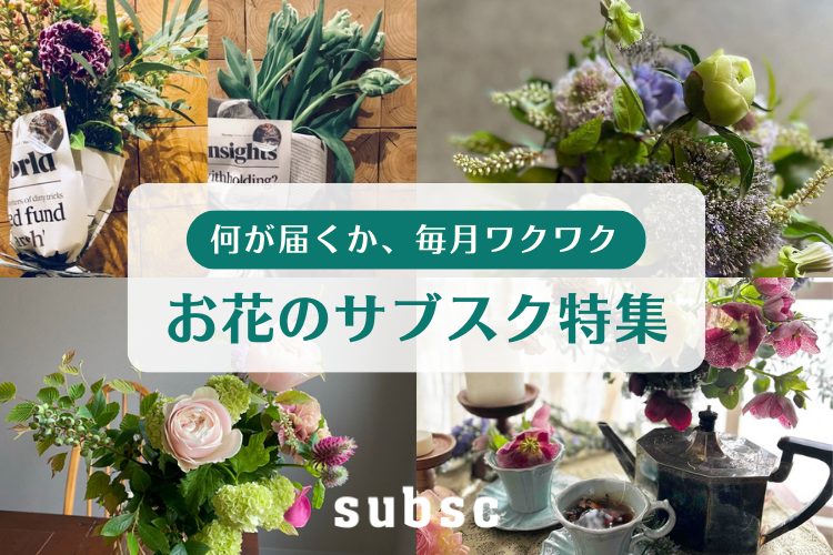 花農家直送！！クルクマ❀ご予約専用ページ❀商品説明必読！！です！！❀ 花農家直送！！クルクマ❀ご予約専用ページ❀商品説明必読