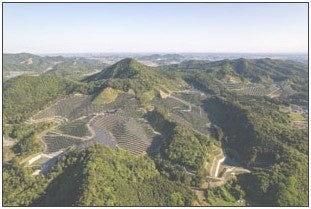写真：佐野太陽光発電所