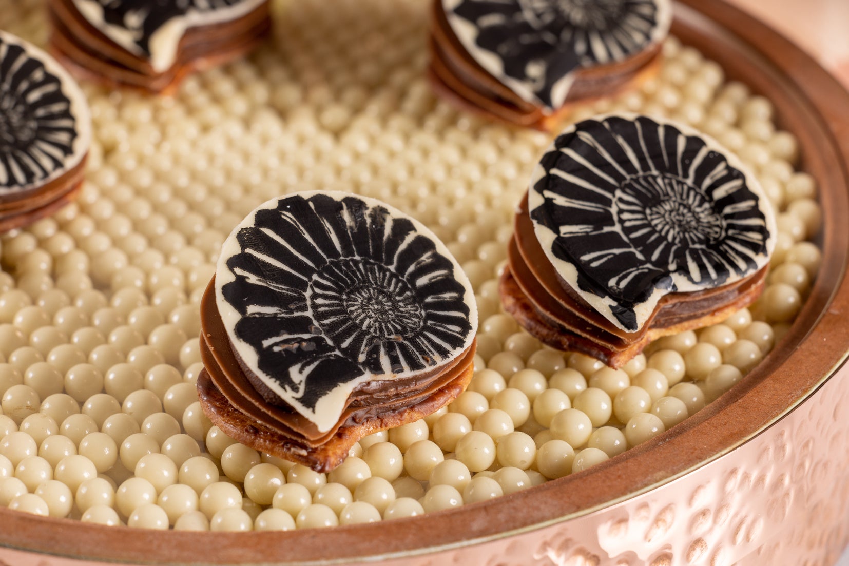 「アンモナイト」:2022年 ル・モンディアル・デ・ザール・シュクレ(パリ)準優勝