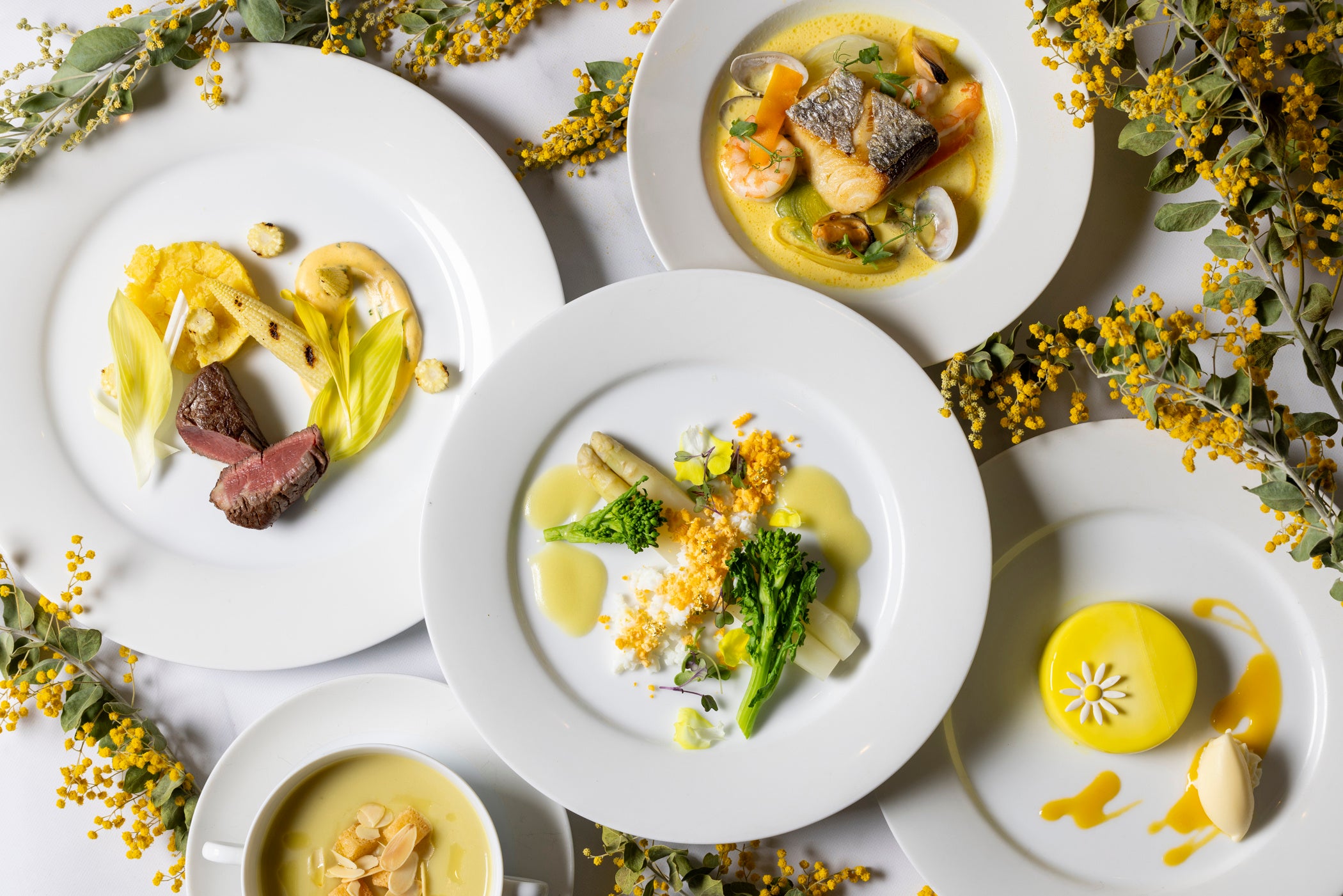 全皿ミモザイエローのディナーコース