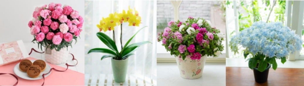 今年の母の日は5月14日、花言葉で贈るフラワーアレンジメントを選んで