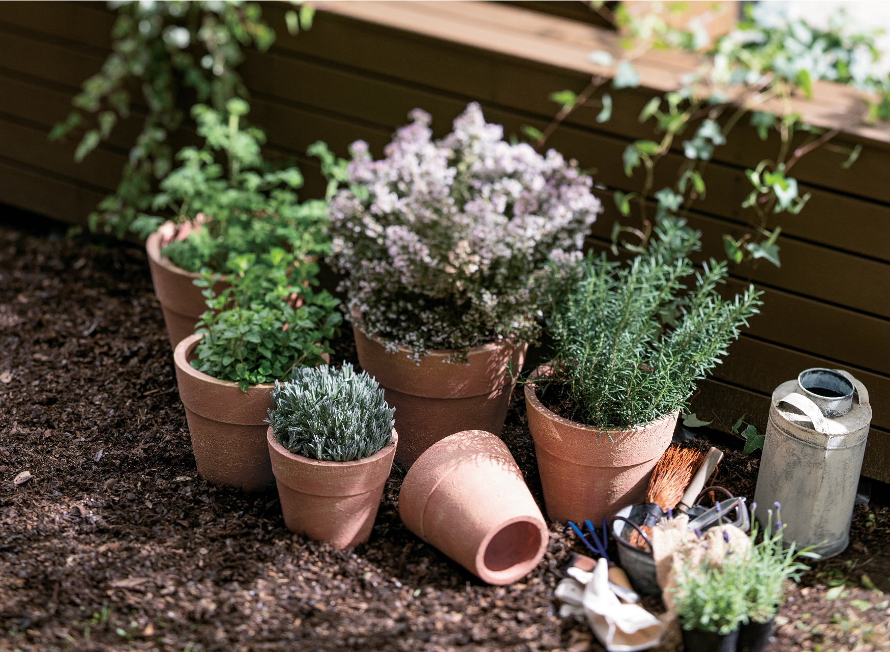 テラコッタ植木鉢 素焼き鉢 3個 黄色 オリーブ 植物 ガーデン雑貨 訳