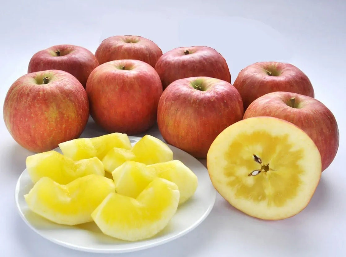 毎年大人気のディノスが選び抜いた“dのリンゴ”の先行予約が本日より