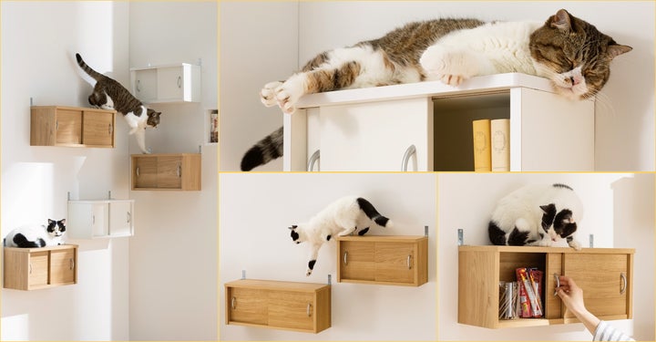 新商品】収納棚としても使えるキャットステップをディノスが発売 新商品】収納棚としても使えるキャットステップをディノスが発売