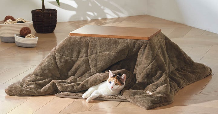 ペット専用のこたつをディノスが新発売!ヒーターなどの熱源を使わない ペット専用のこたつをディノスが新発売!ヒーターなどの熱源を使わない