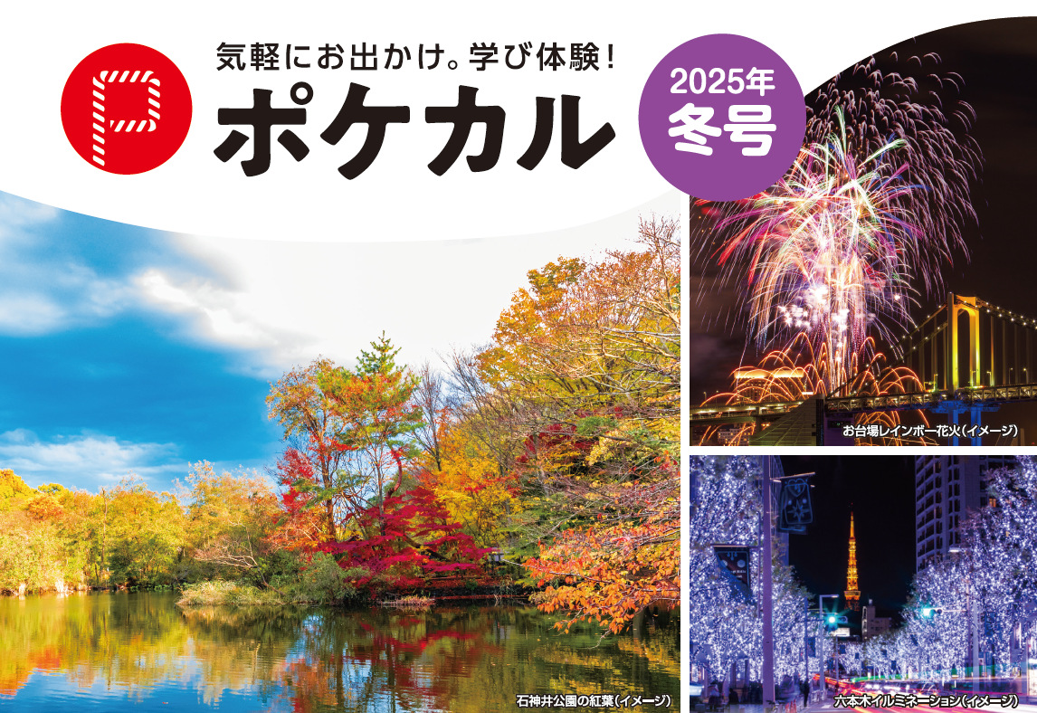 【ポケカル冬号】紅葉やクリスマスイルミネーションなど冬限定の体験を堪能冬限定の日帰りツアーを販売開始