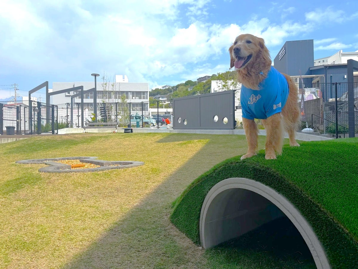 愛犬と南紀白浜のドッグリゾートへ。「Dog Hotel Shirahama」の無料宿泊券が抽選で2組に当たる