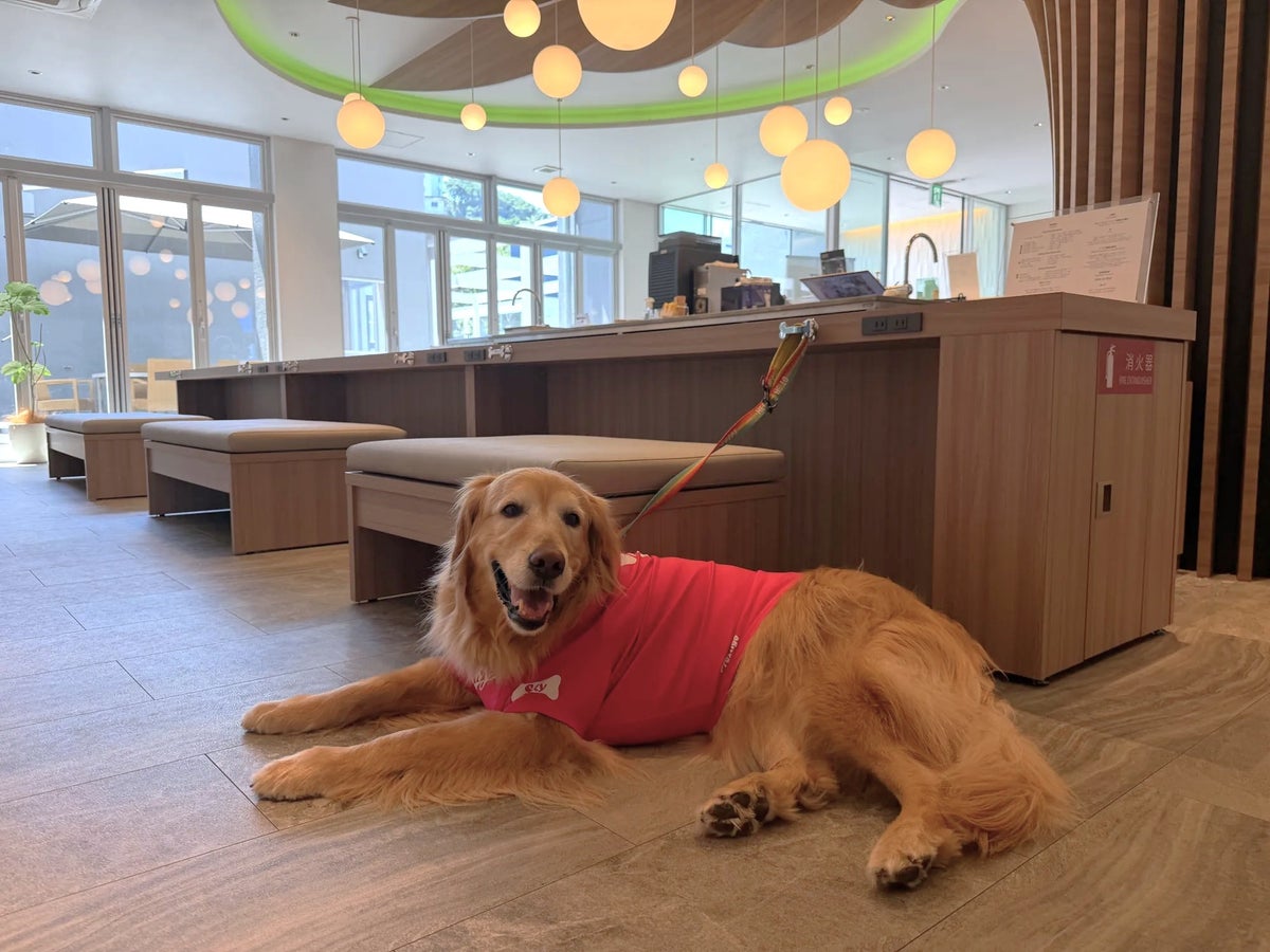 愛犬と南紀白浜のドッグリゾートへ。「Dog Hotel Shirahama」の無料宿泊券が抽選で2組に当たる