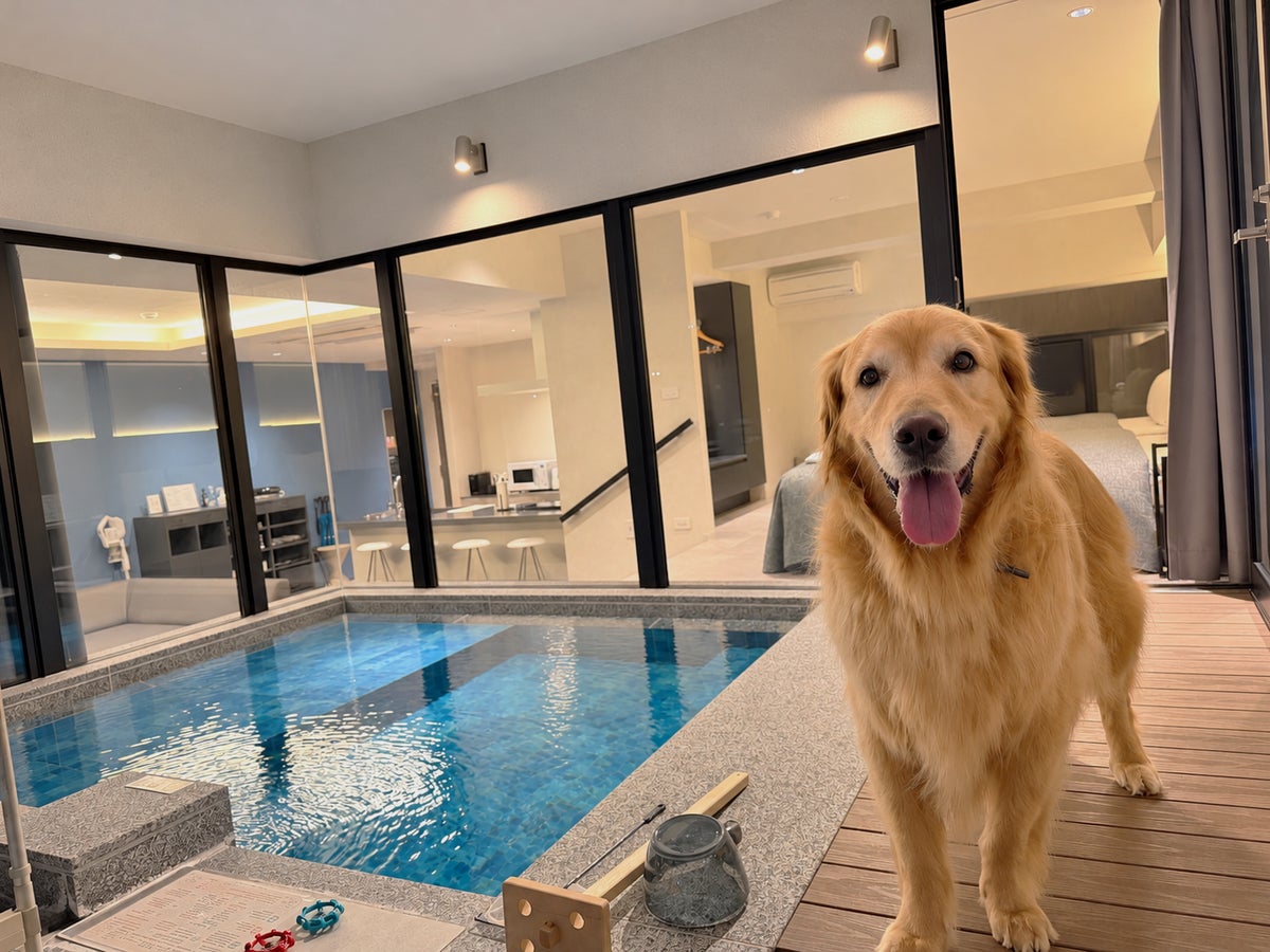 愛犬と南紀白浜のドッグリゾートへ。「Dog Hotel Shirahama」の無料宿泊券が抽選で2組に当たる
