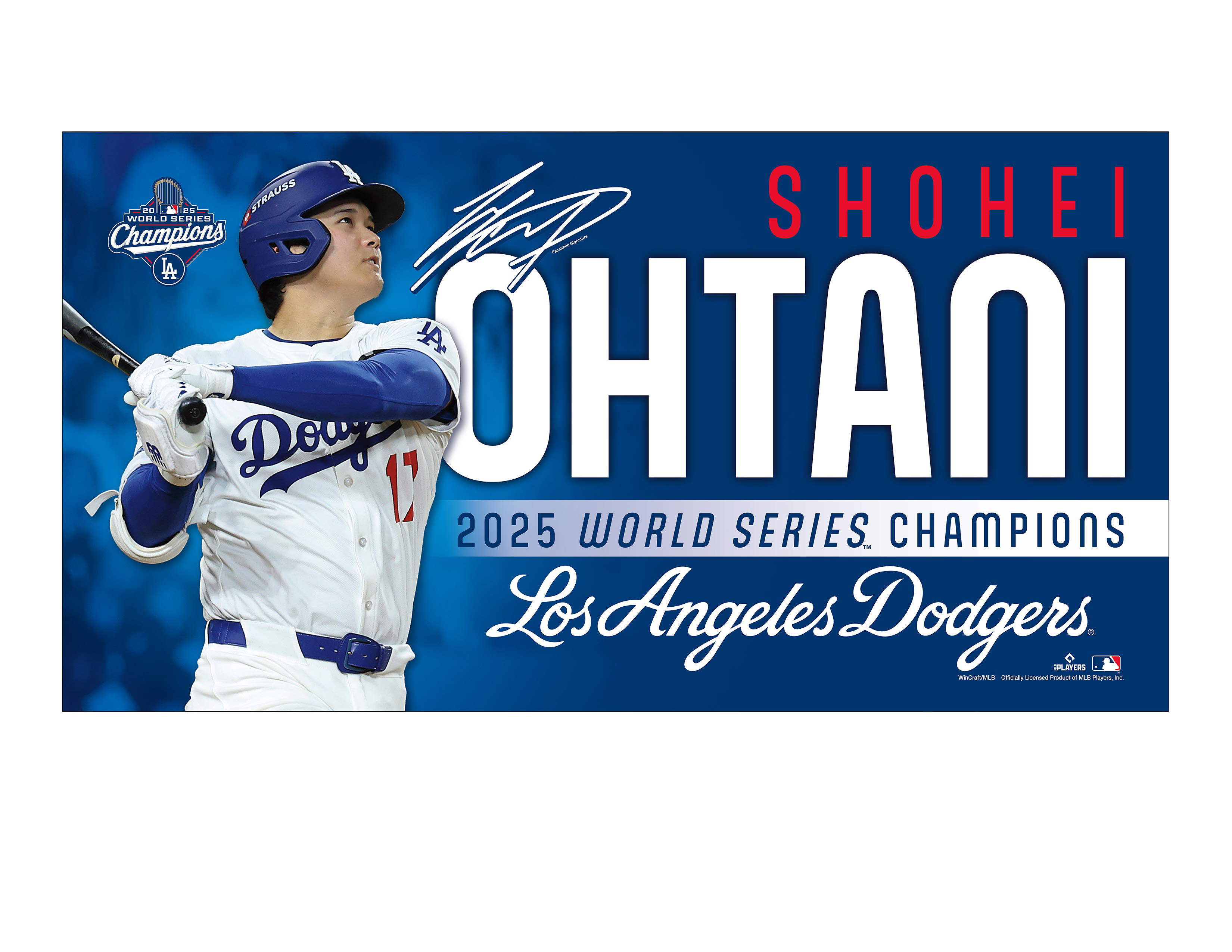 スポーツエントリー