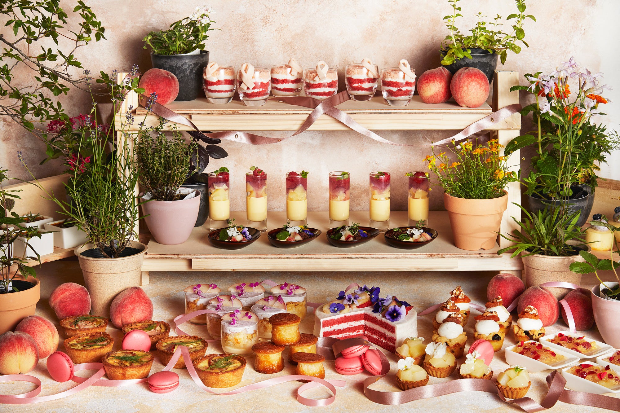 SW 18-8フルーツスタンド B渕 SW 18-8 フルーツスタンド B渕 直径280×H170mm : アドキッチン