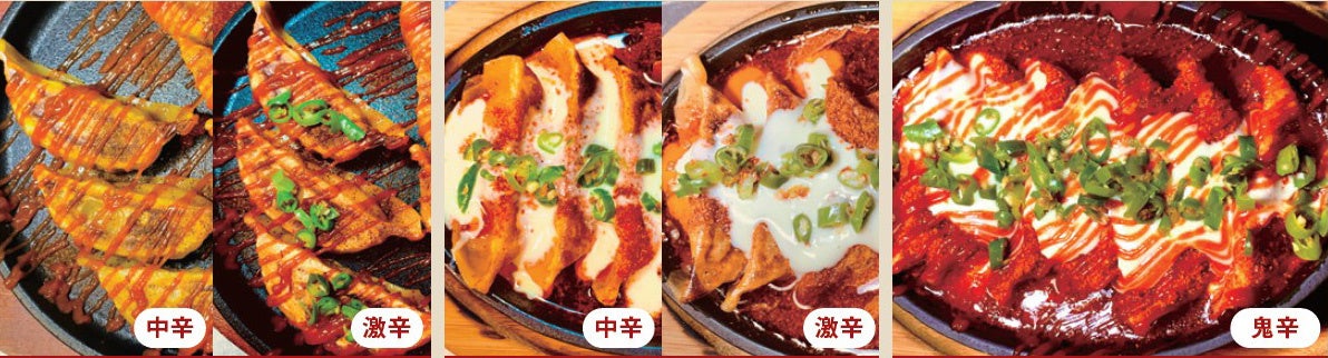 神田餃子居酒屋 WARASHIBE GYOZA