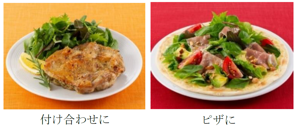 ＜提案レシピ例＞