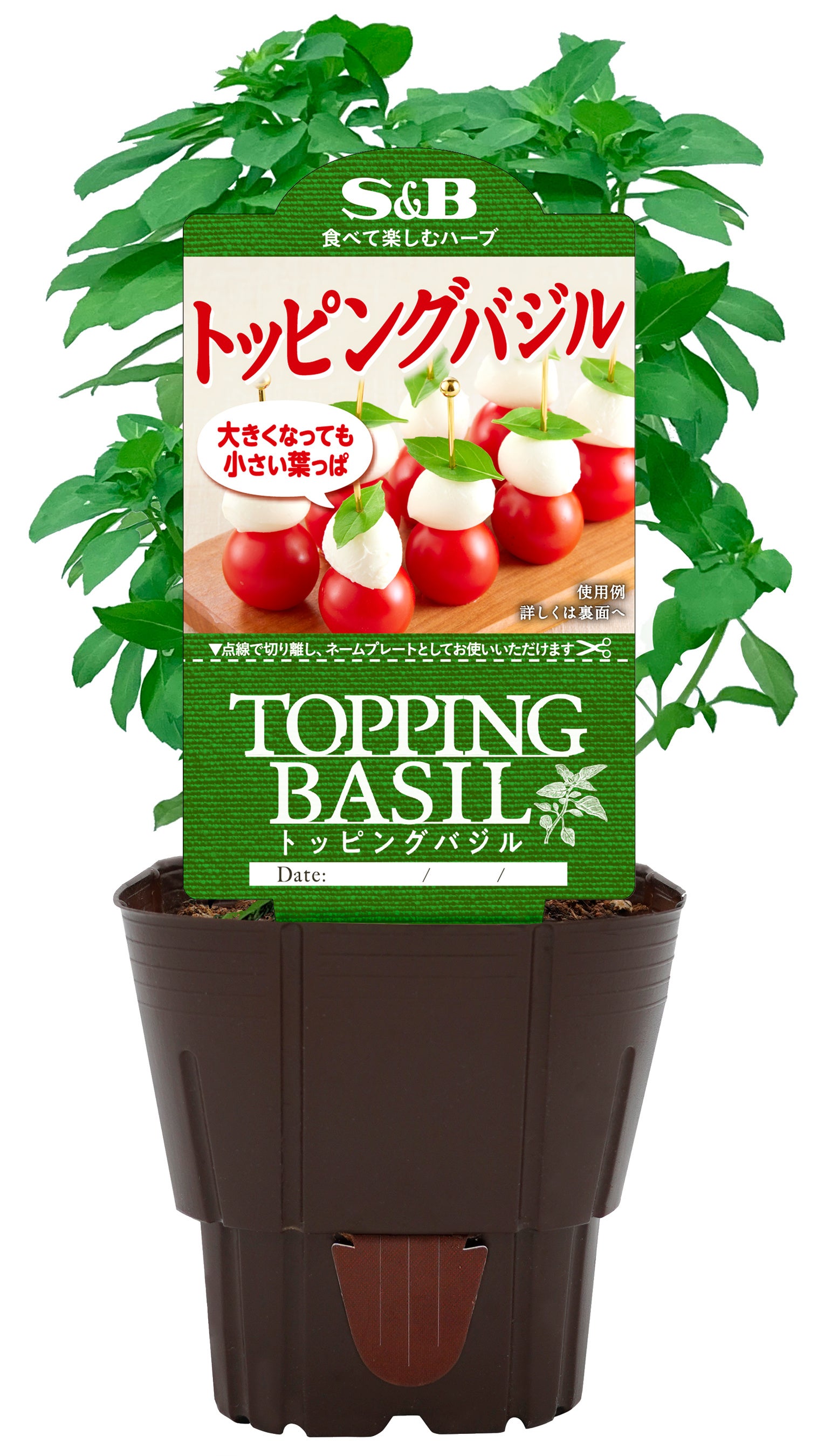 トッピングバジル