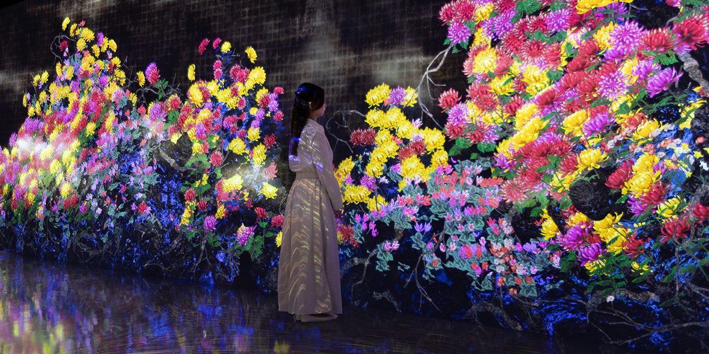 「Galaxy ＆ チームラボ：永遠の今の中で連続する生と死」を開催 Galaxy Harajuku 2026年1月30日(金)リニューアルOPEN