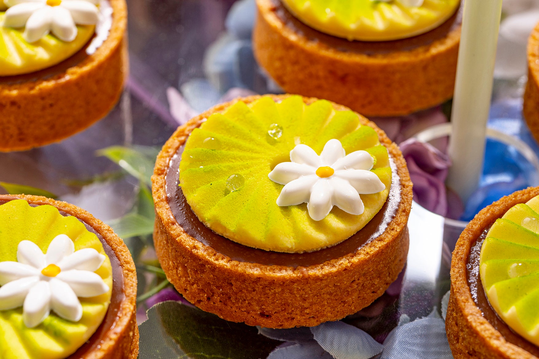 日向夏のミルクチョコレートタルト