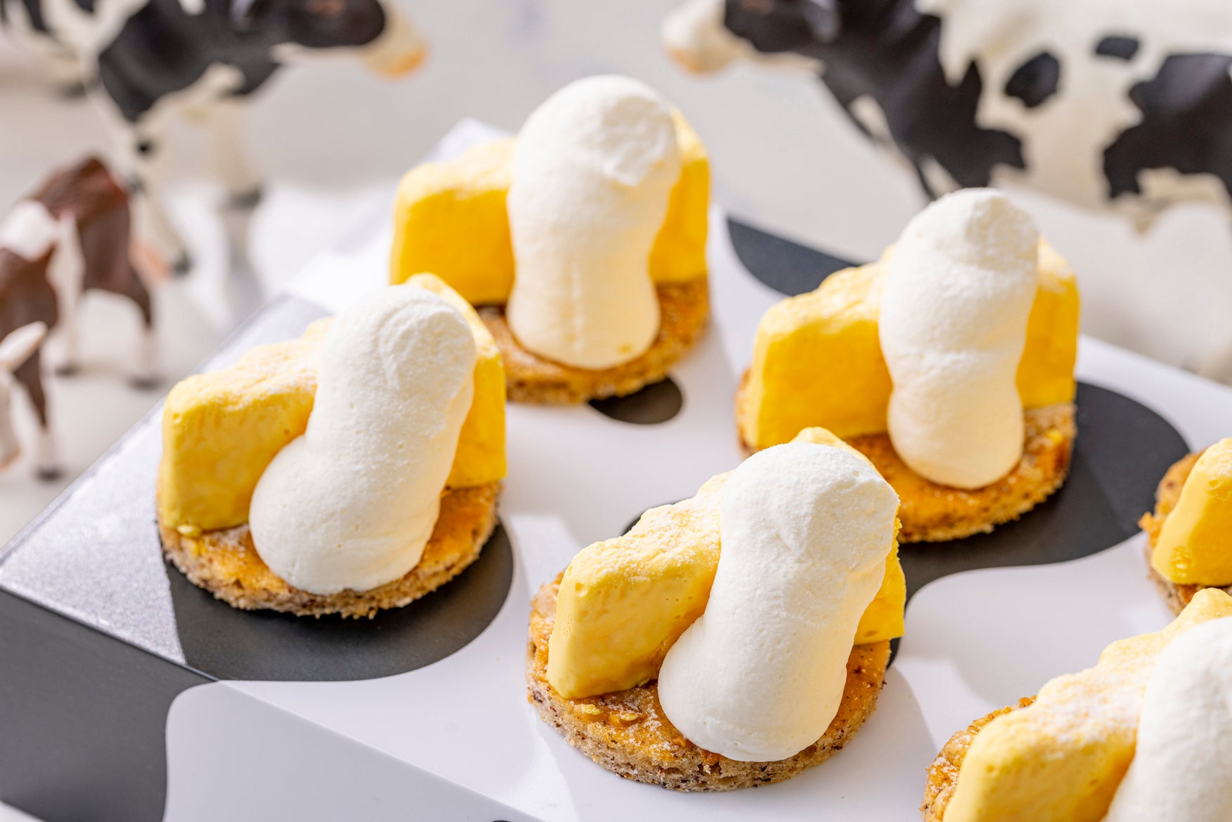 レアチーズケーキ