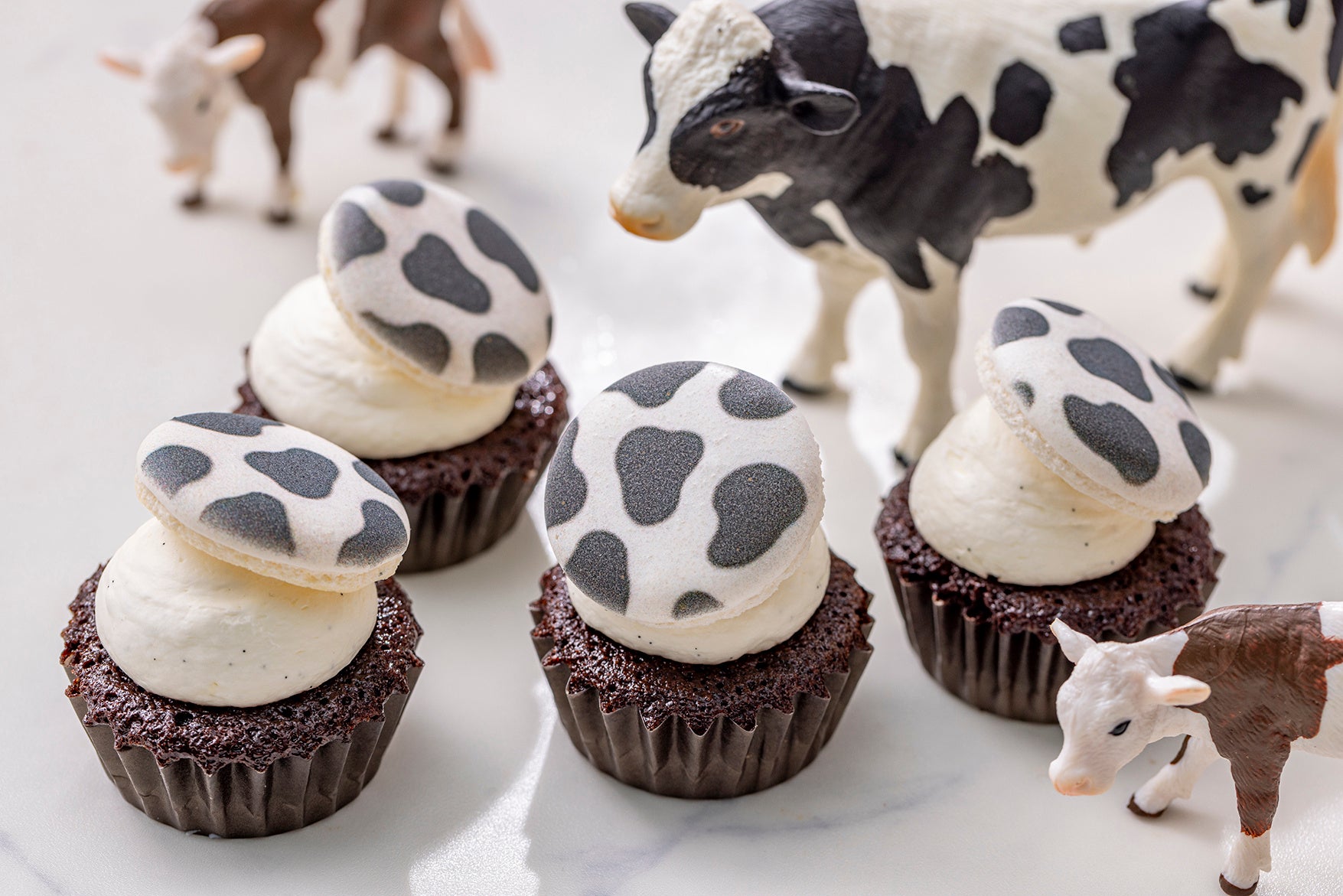 濃厚ミルククリーム　チョコレートカップケーキ