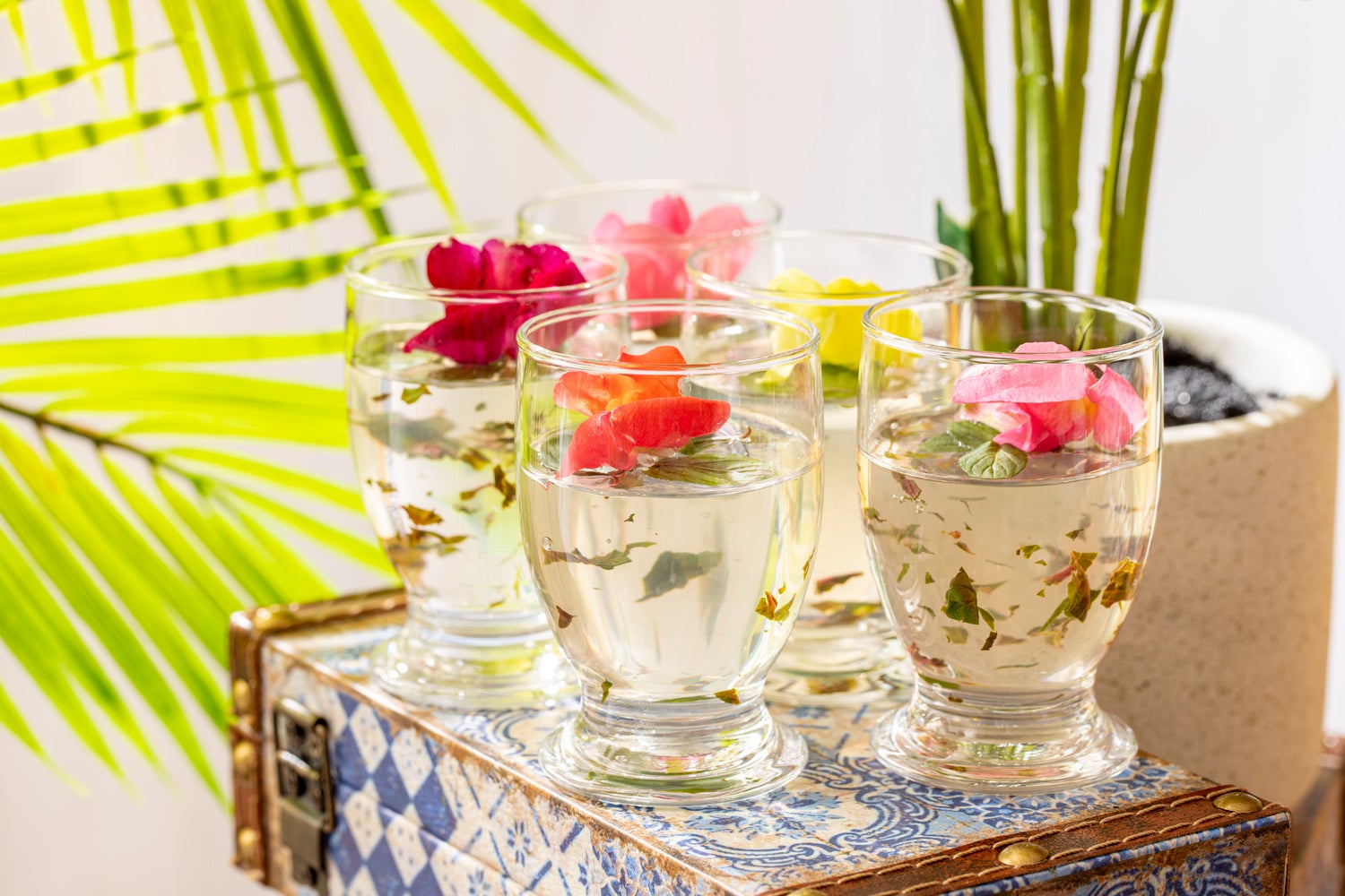 モヒートゼリー