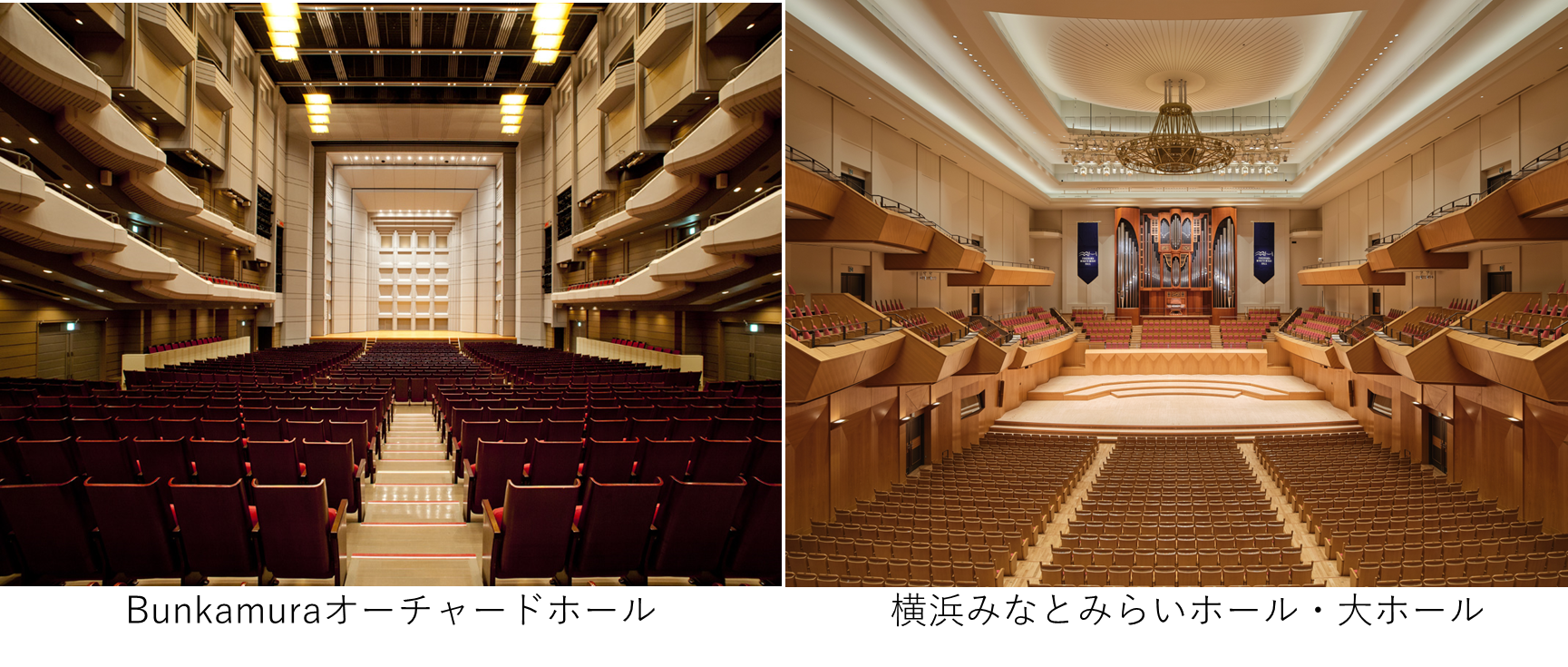 シリーズ史上初 “東横シリーズ” 始動！二拠点からお届けする『N響