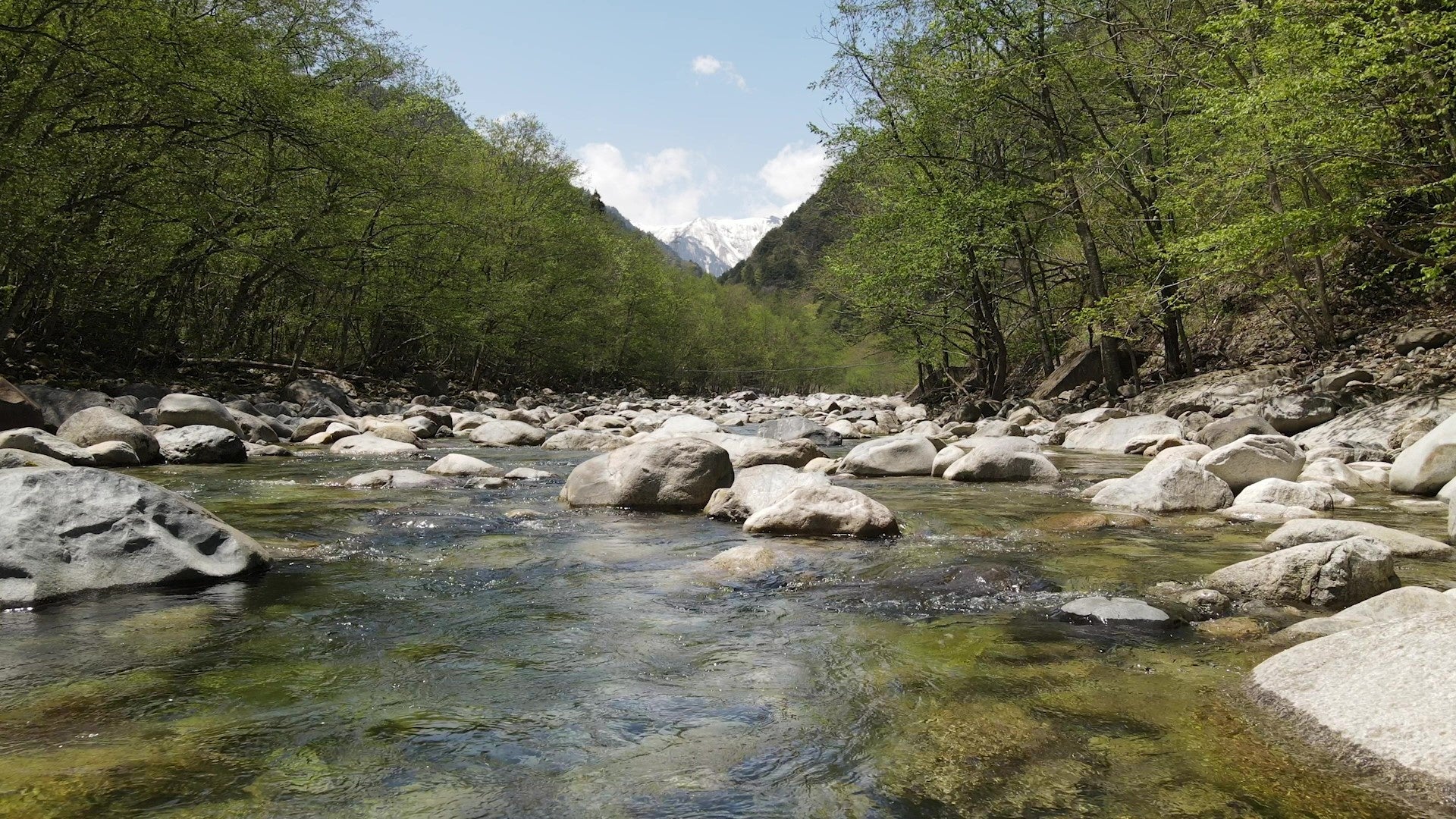 大町市の風景　清流