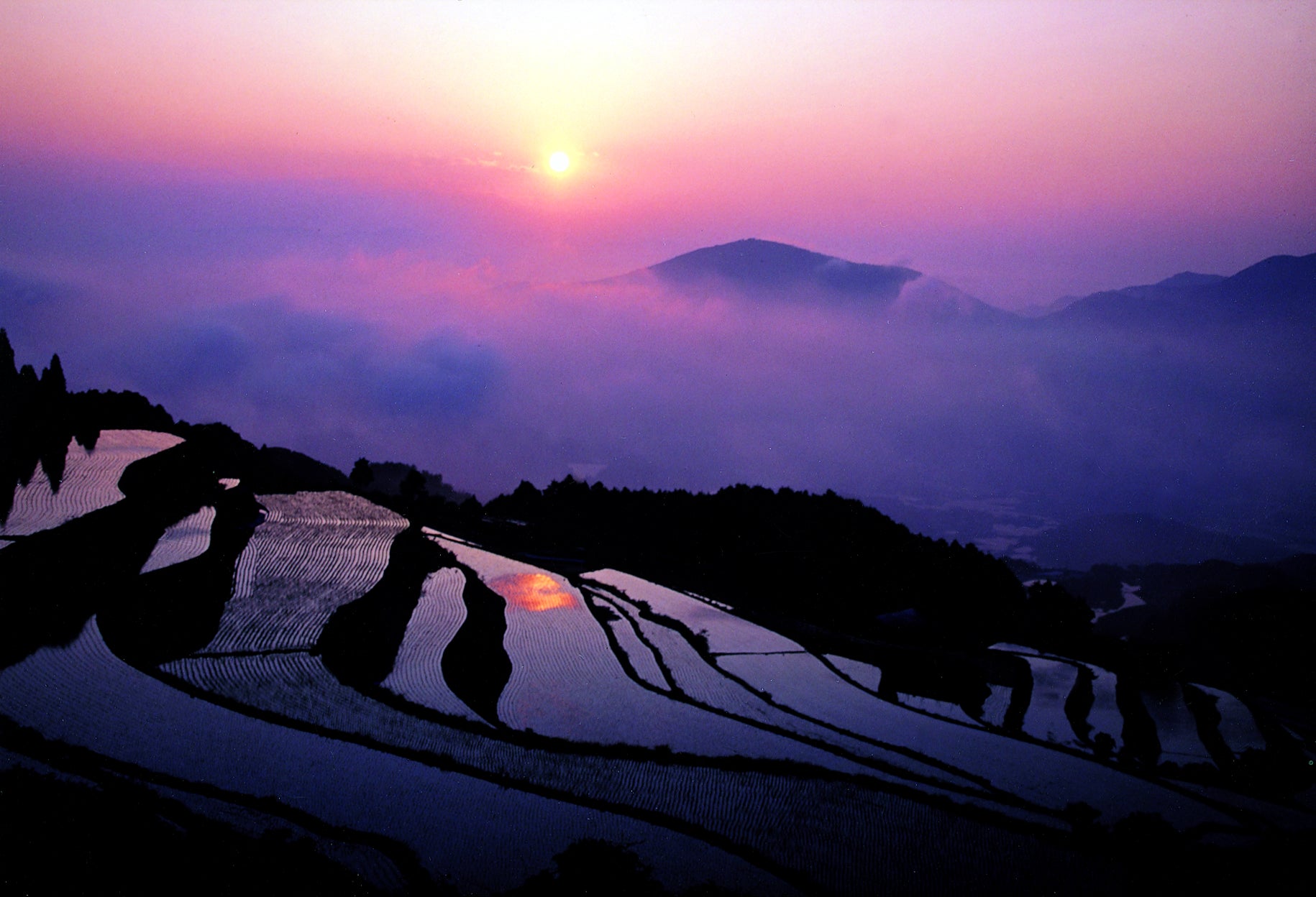 有田町 棚田の朝日
