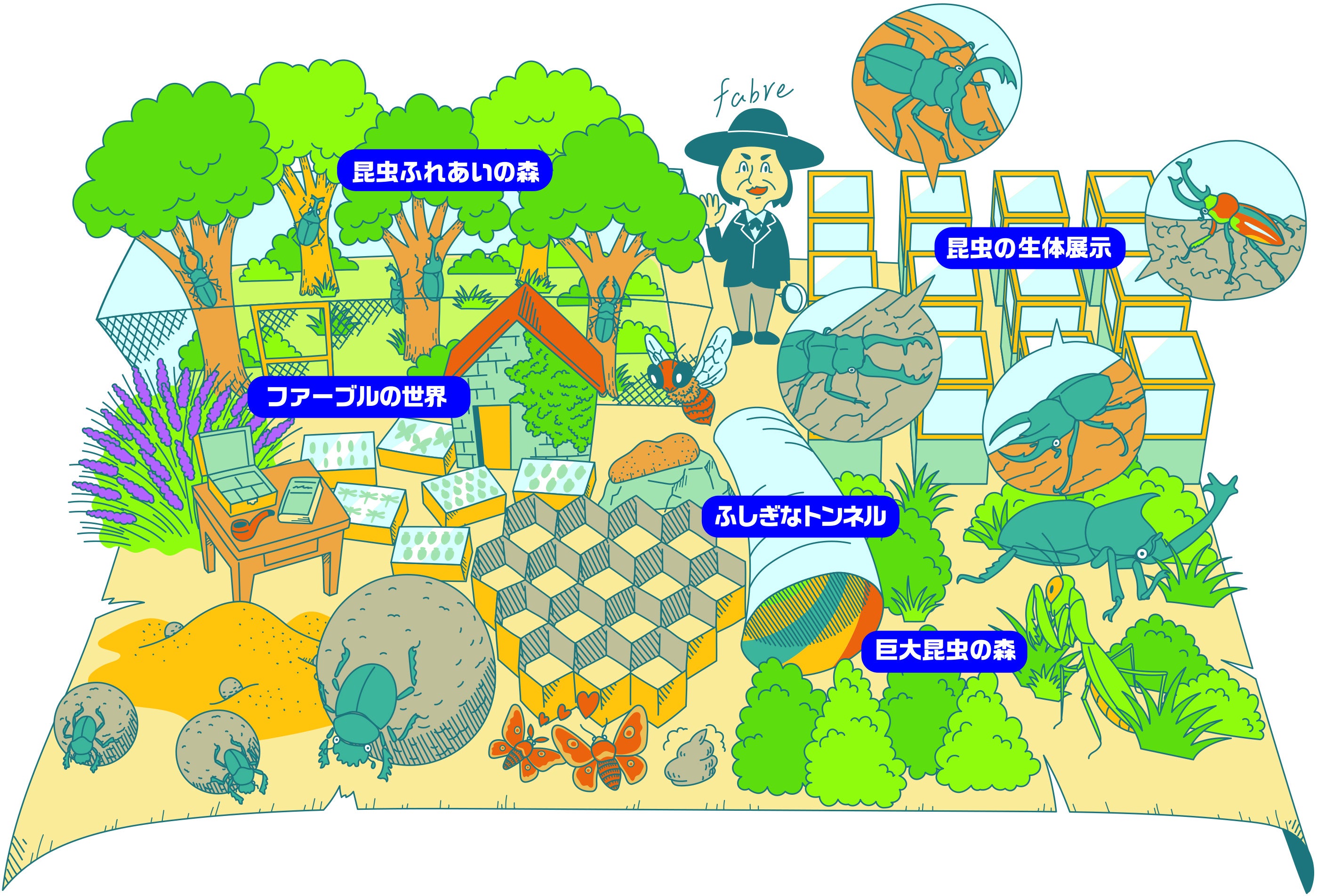 館内の様子 イメージ