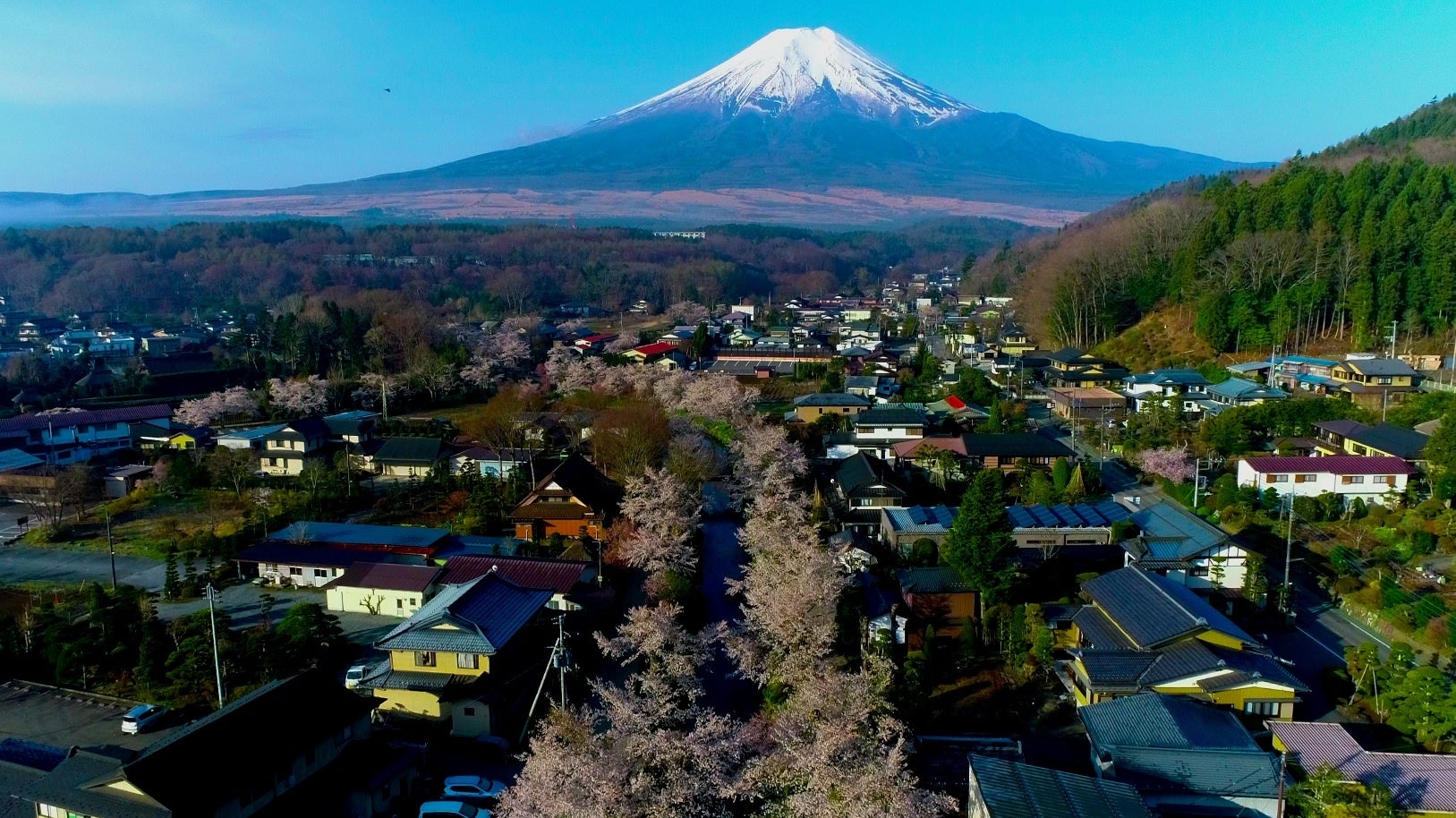 動画キャプチャー画像１