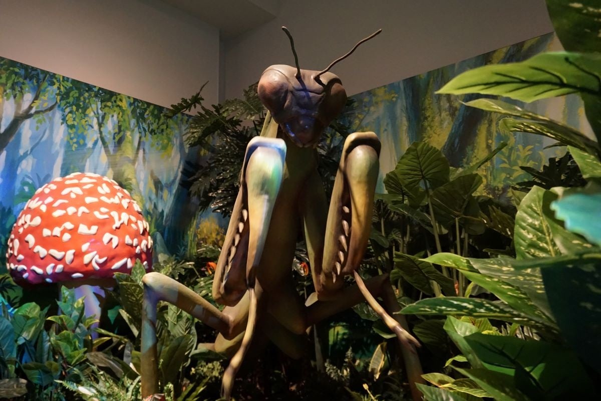 「カマキリのロボット」