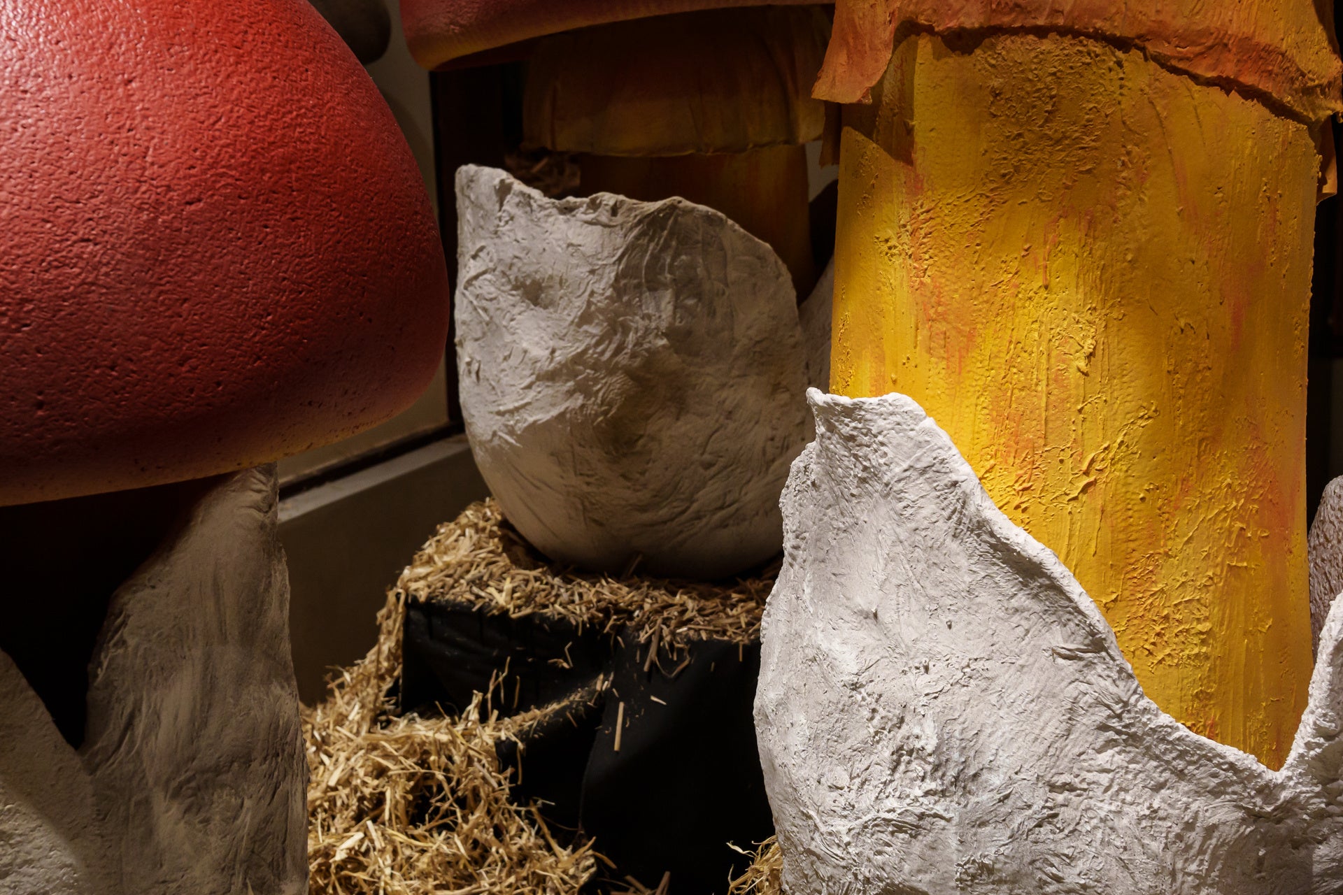 撮影：二村友也