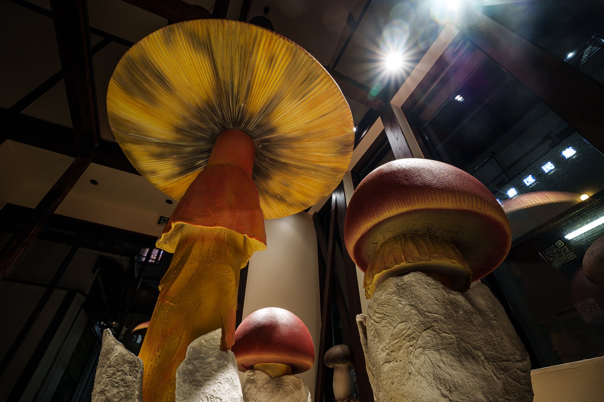 撮影：二村友也