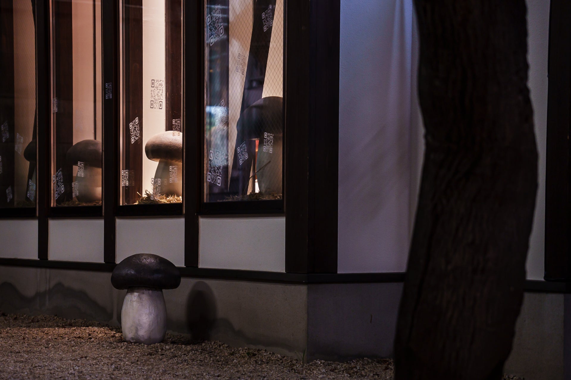 撮影：二村友也