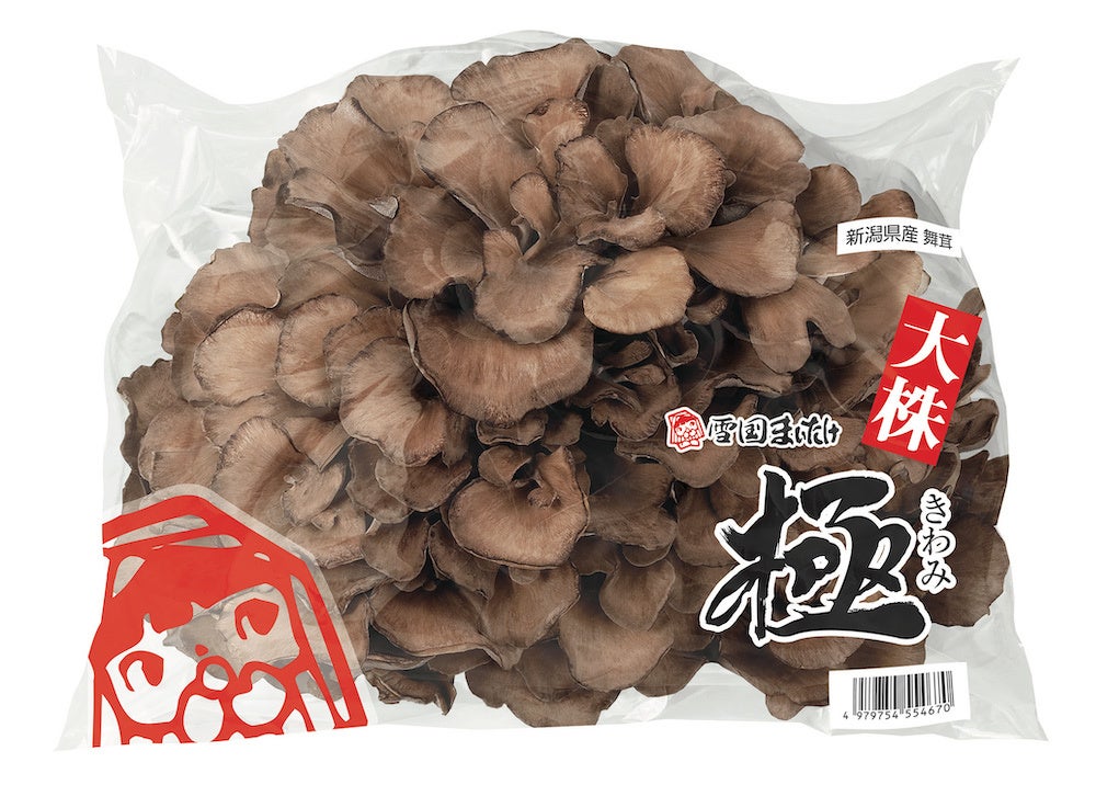雪国まいたけ極　大株