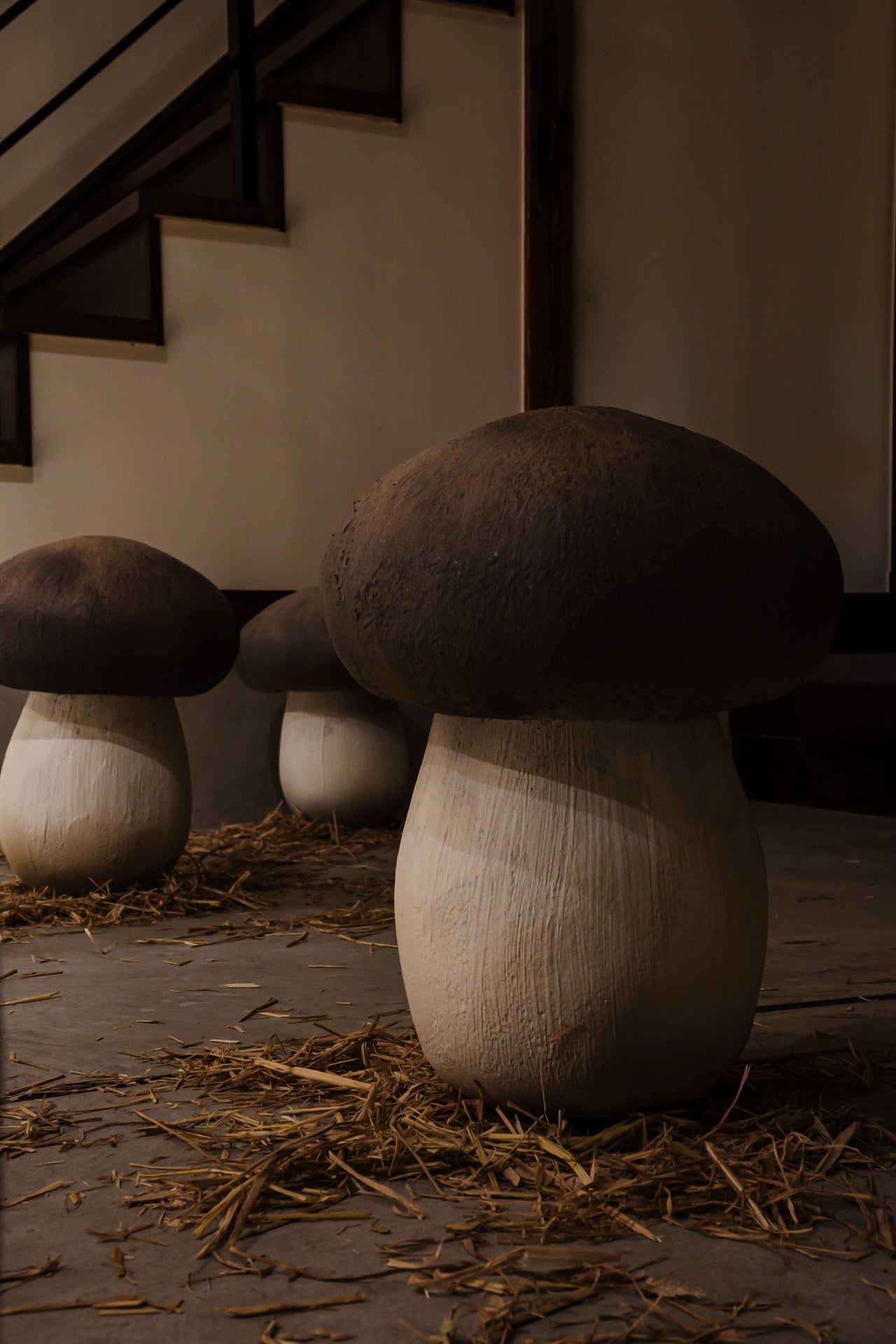 撮影：二村友也