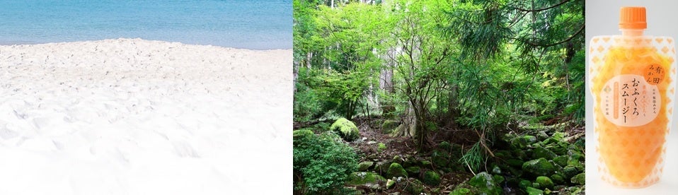 ※画像はイメージです