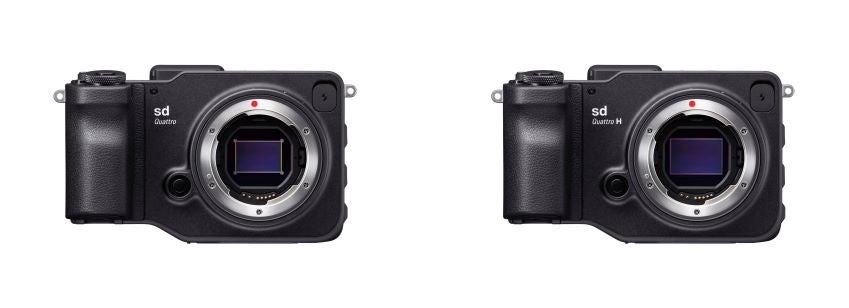 SIGMA Canonシリーズ　4点‼️ SIGMA製品を陳列展示したコンセプトギャラリー・Lens Cellarが