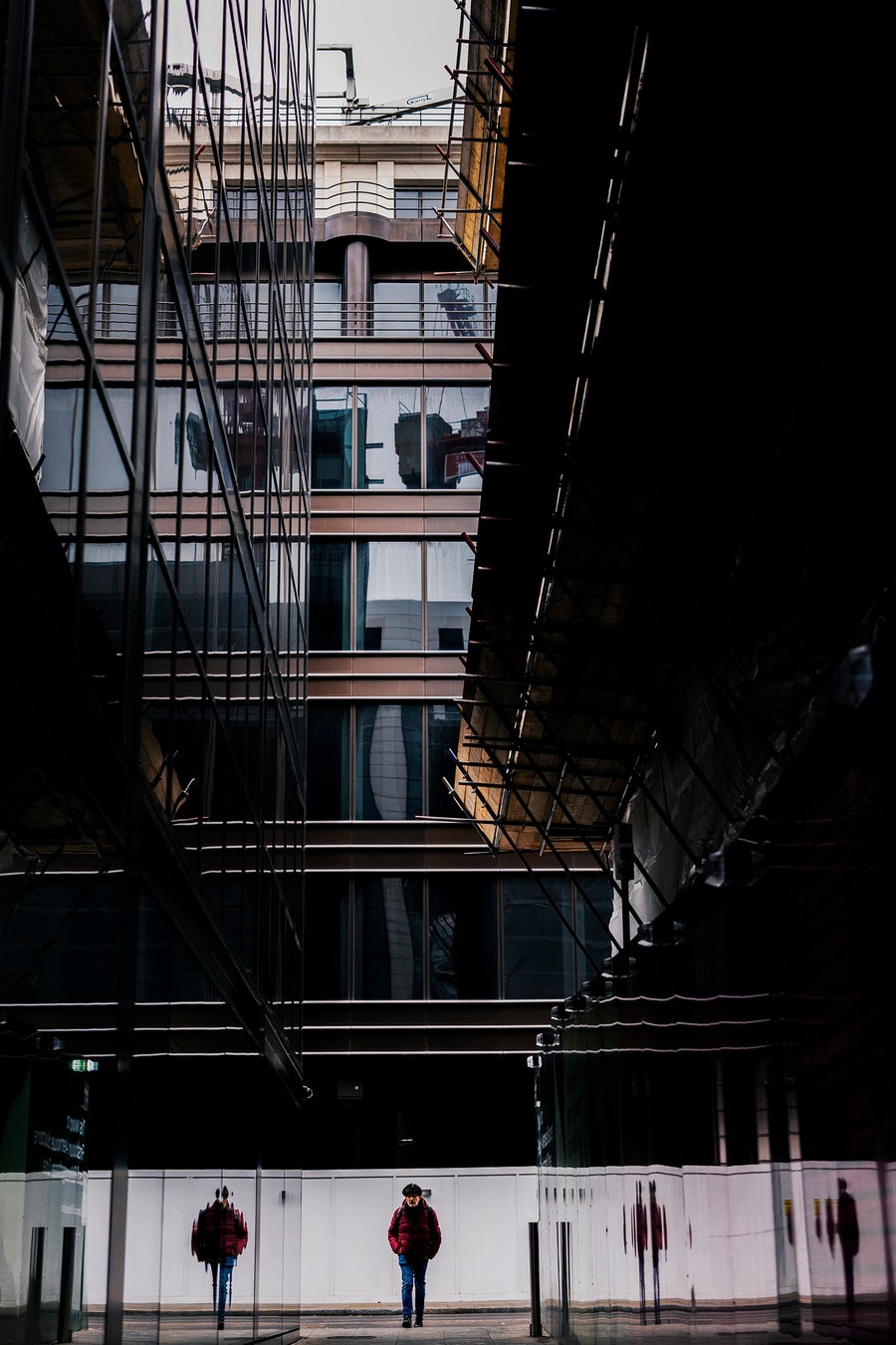 🄫Damien Demolder