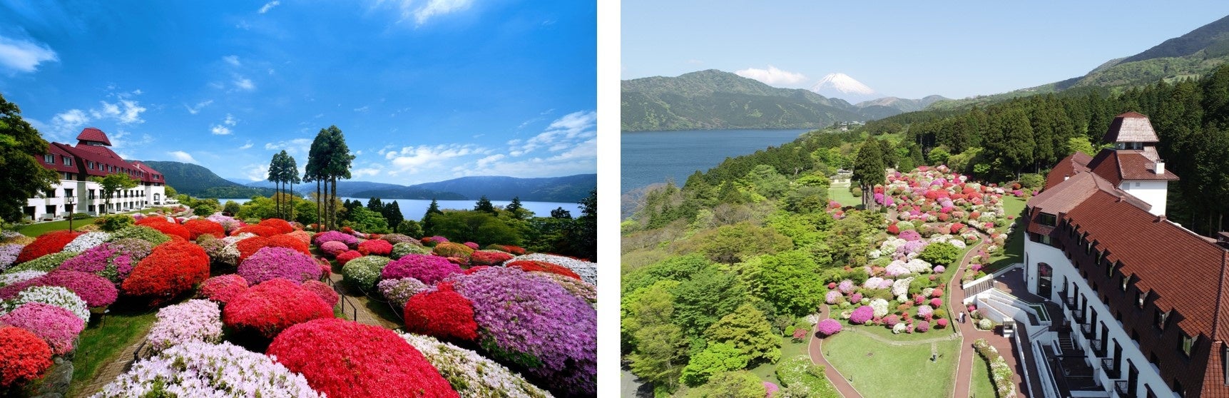 山のホテルとツツジ庭園　           　　　　　                      　　　　　　　　　　        富士山と芦ノ湖を背景に咲き誇るツツジ