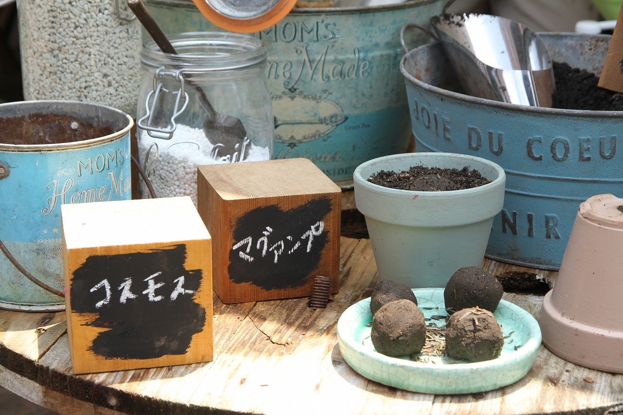 種だんごイメージ