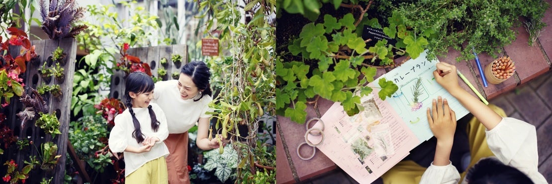 わくわくガーデン（左）、ハーブガイドブックをつくろう（右）