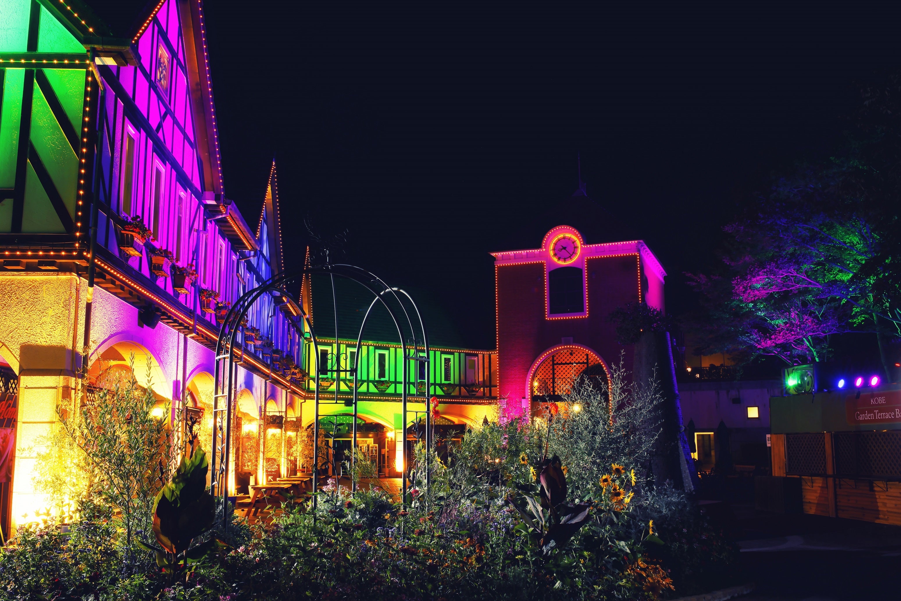 光の森～Forest of Illuminations～森の大聖堂2022サマー