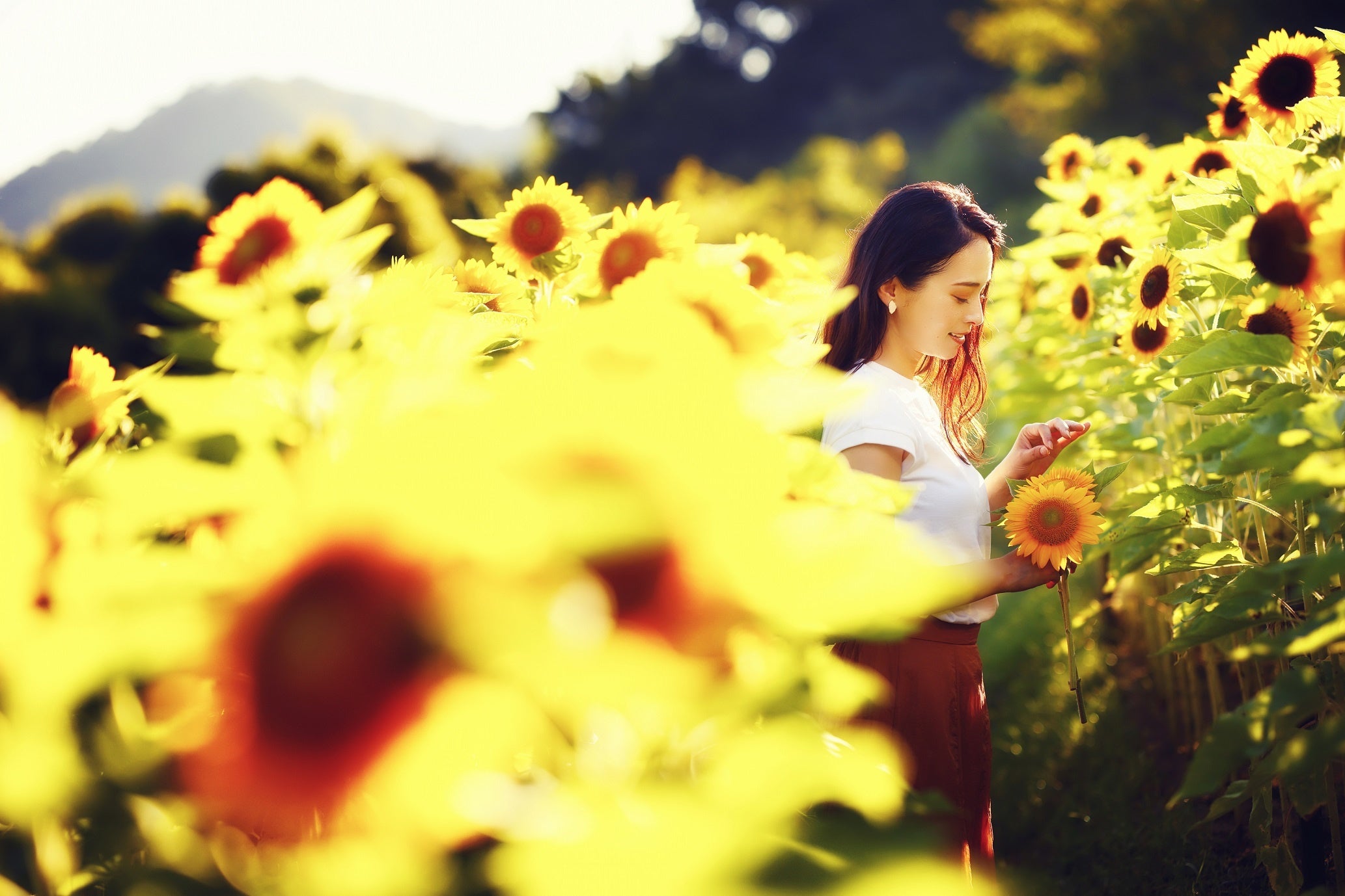 風の丘フラワー園（夕）