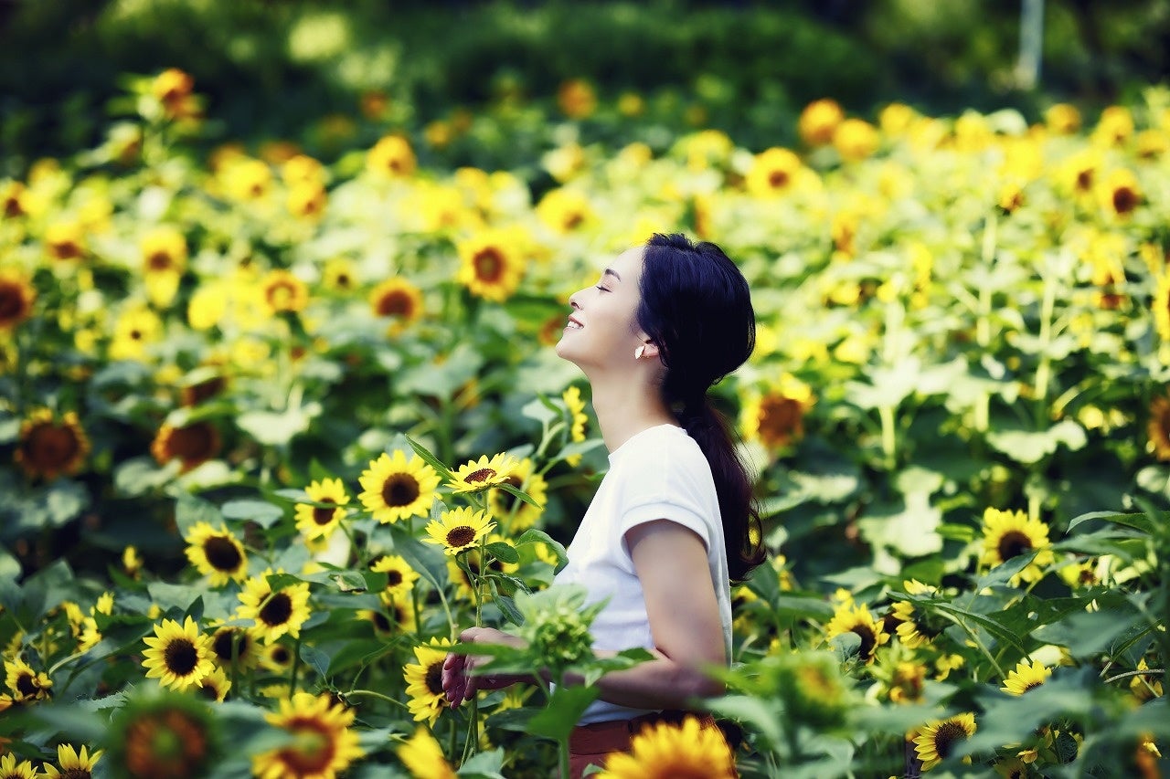 四季の庭（夕）