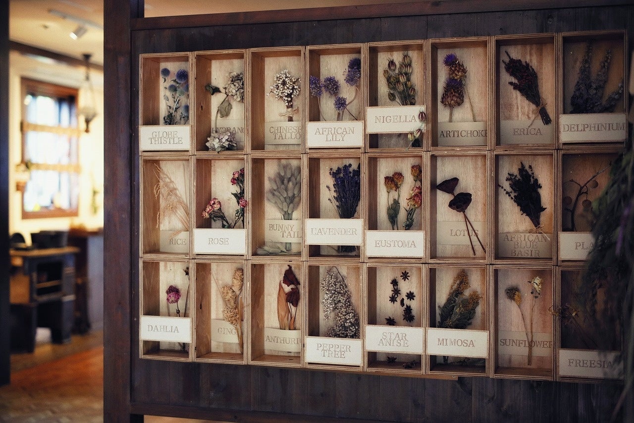 ハーブの家（インテリア）