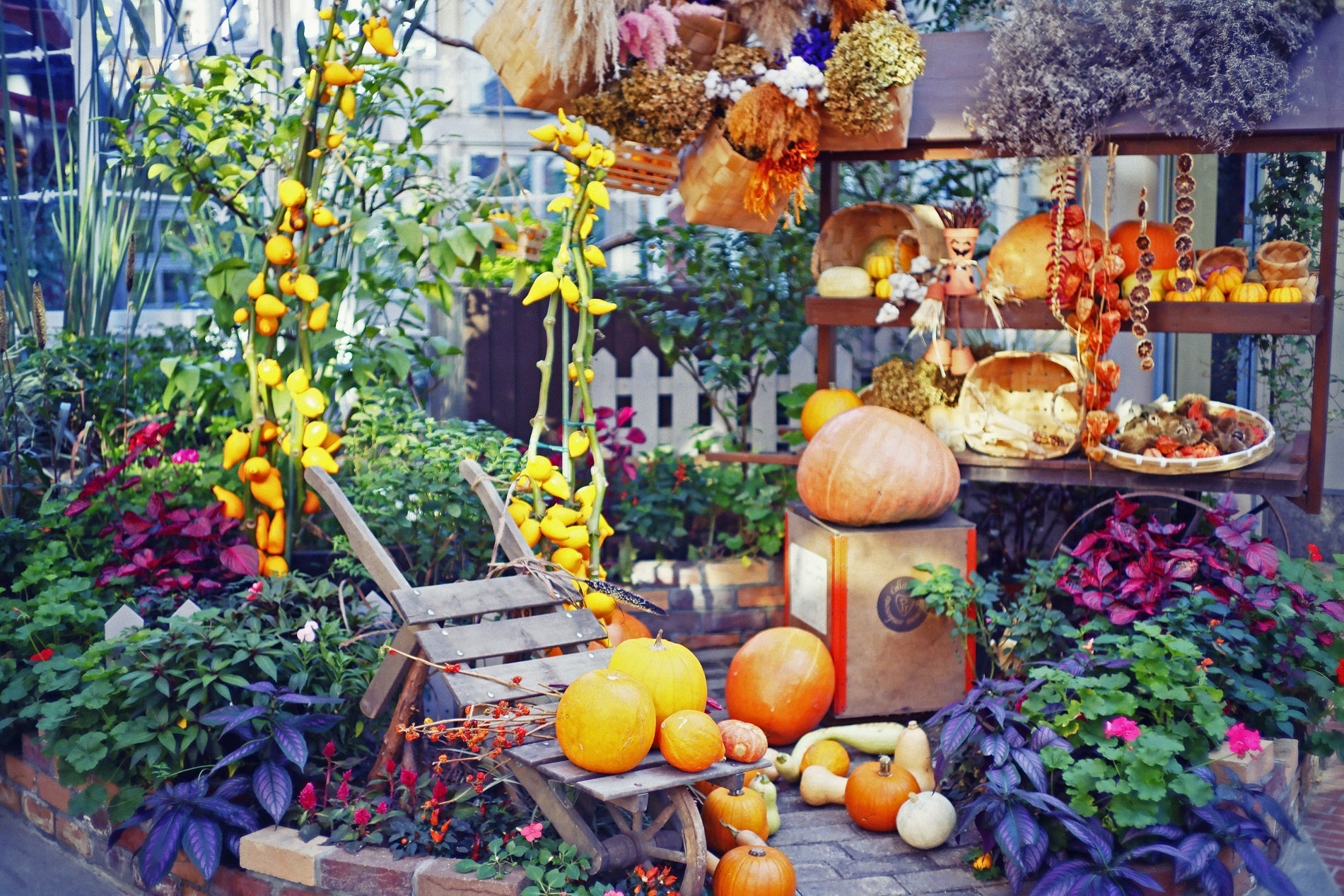 ハロウィンフェア（ハロウィンディスプレイ）