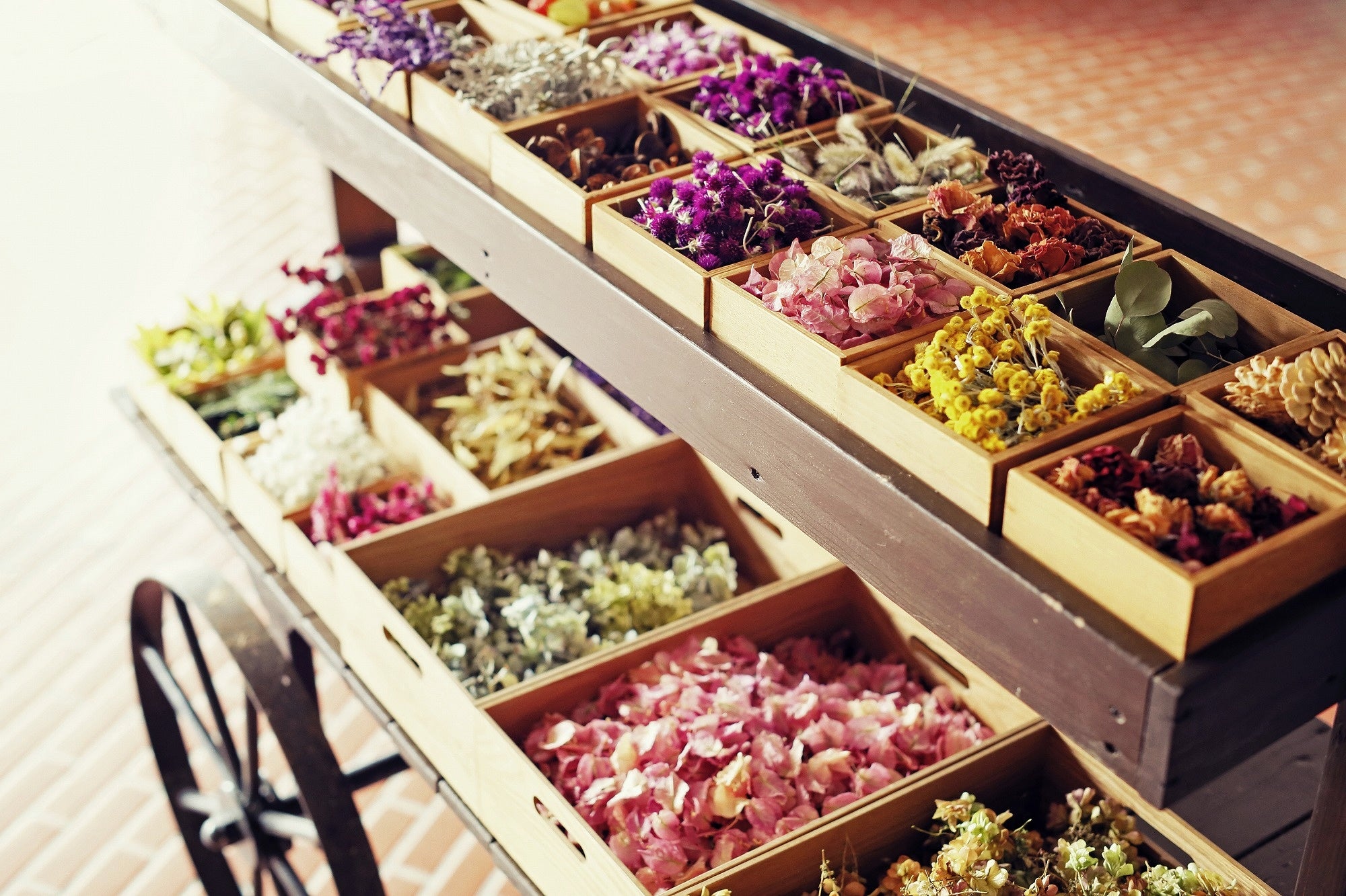 ドライフラワーイメージ