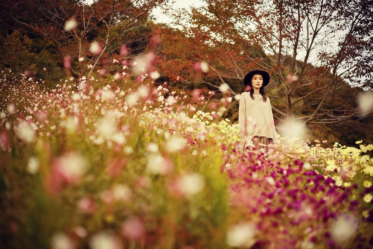 コスモスとセンニチコウとガウラ