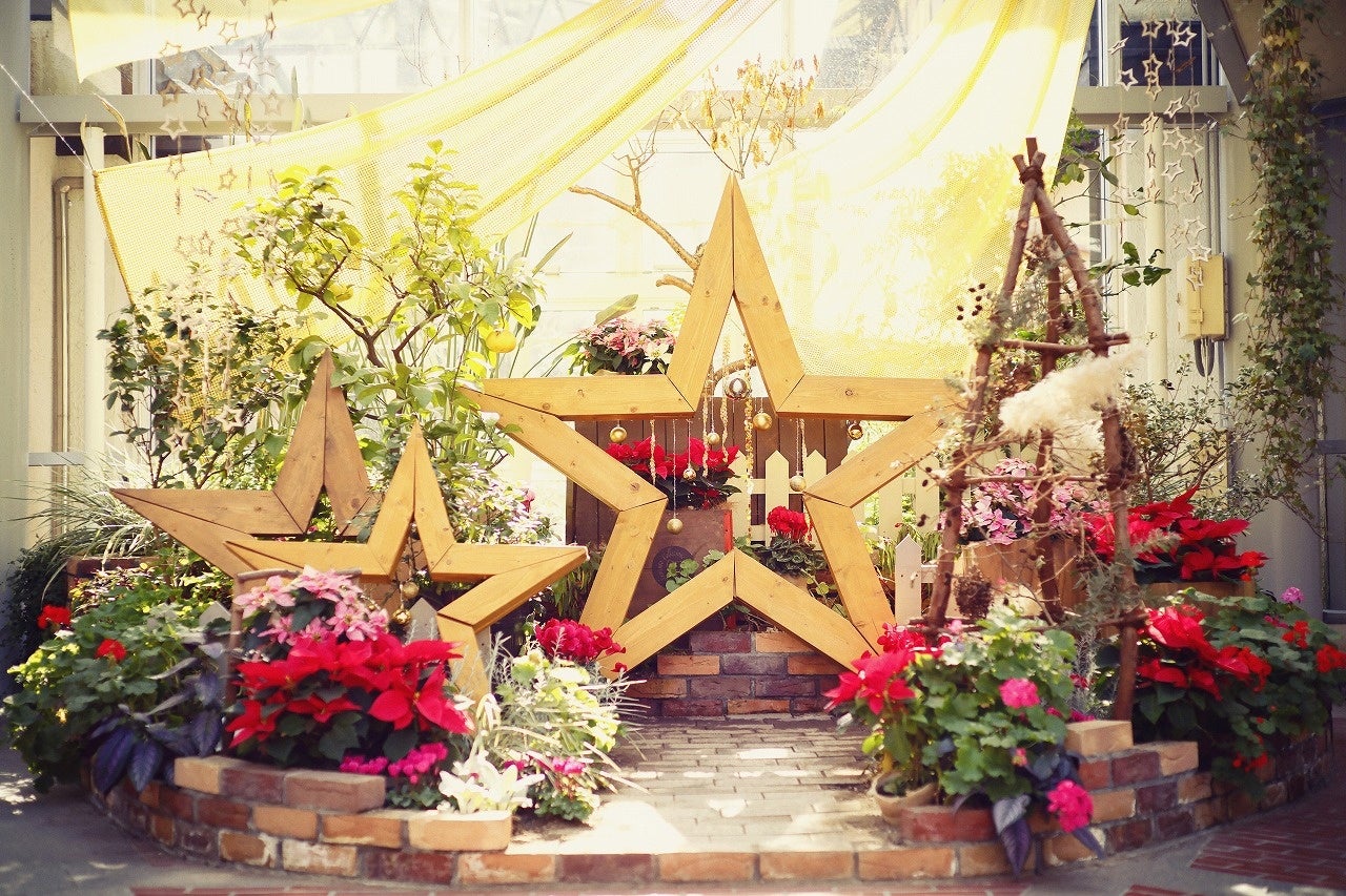 クリスマスガーデン