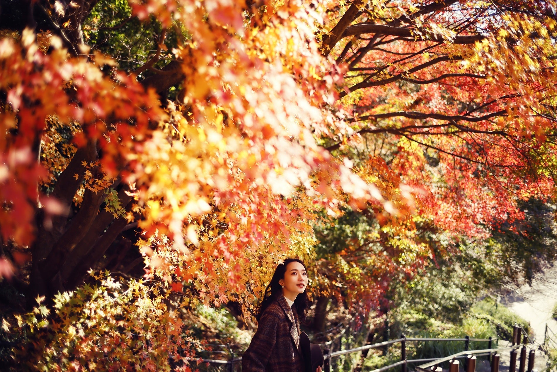 ハーブミュージアム下